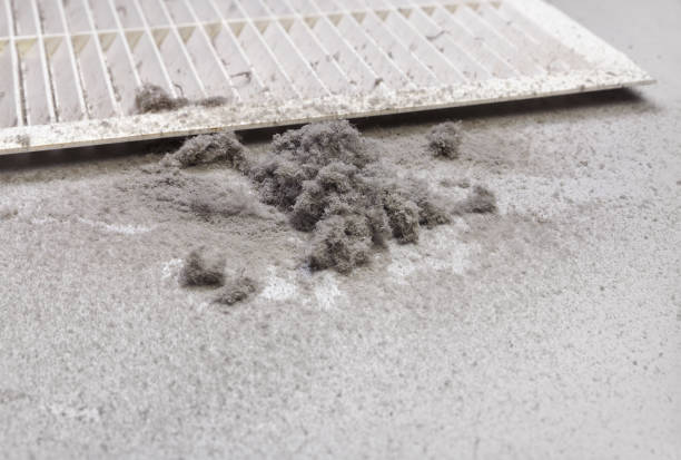 Best HVAC Air Duct Cleaning  in Irmo, SC