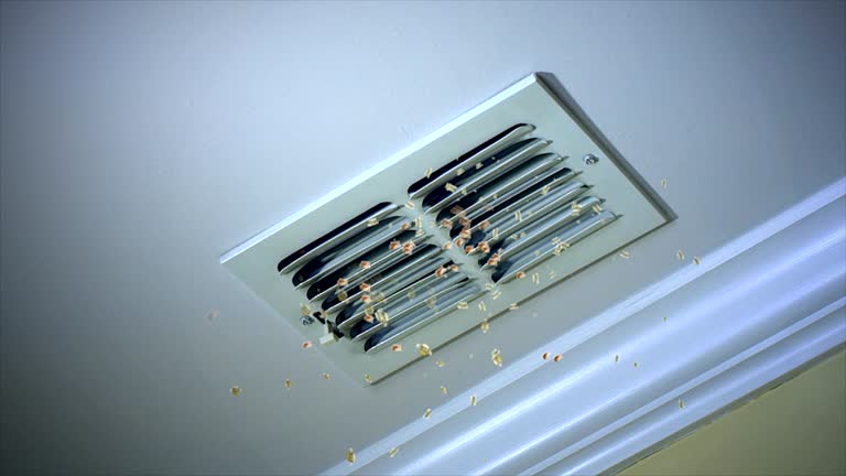Best Air Duct Inspection  in Irmo, SC