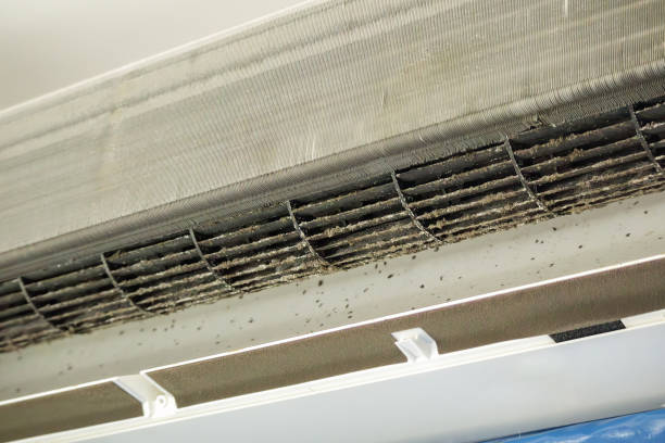 Best Air Duct Cleaning Near Me  in Irmo, SC